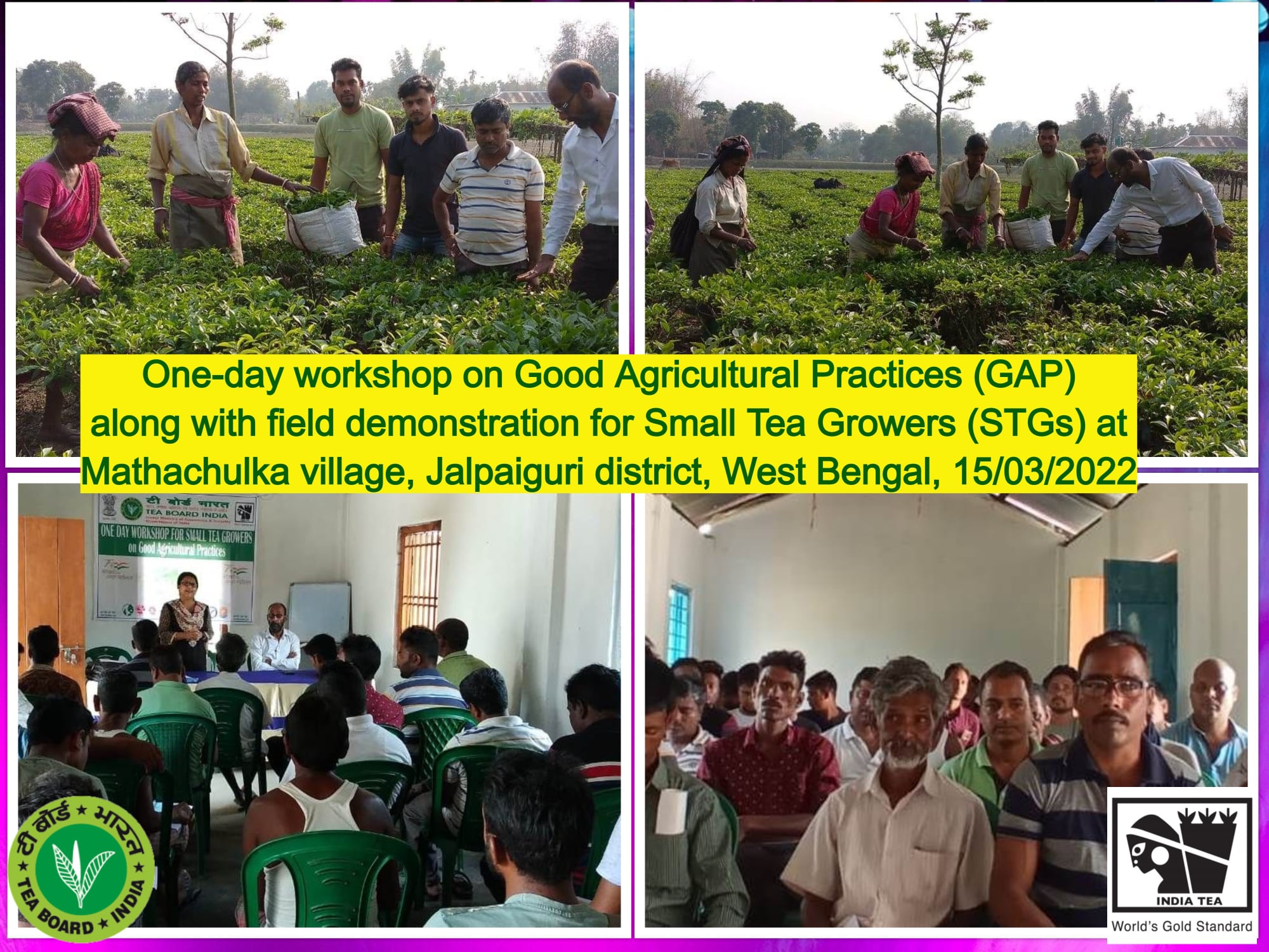 One-day workshop on Good Agricultural Practices (GAP) along with field demonstration for Small Tea Growers (STGs) at Mathachulka village, Jalpaiguri district, West Bengal, 15-03-2022