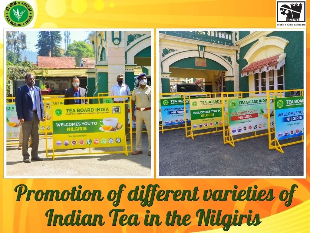 Promotion of different varities of Indian Tea in the Nilgiris