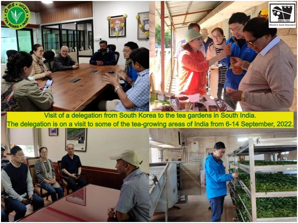 Visit of a delegation from South Korea to the tea gardens in South India. The delegation visited some of the tea-growing areas of India from 6-14 September, 2022.