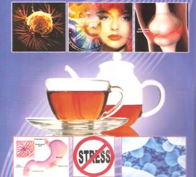 Anticarcinogenic and antimutagenic 